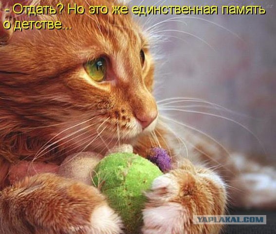 Мой маленький друг...