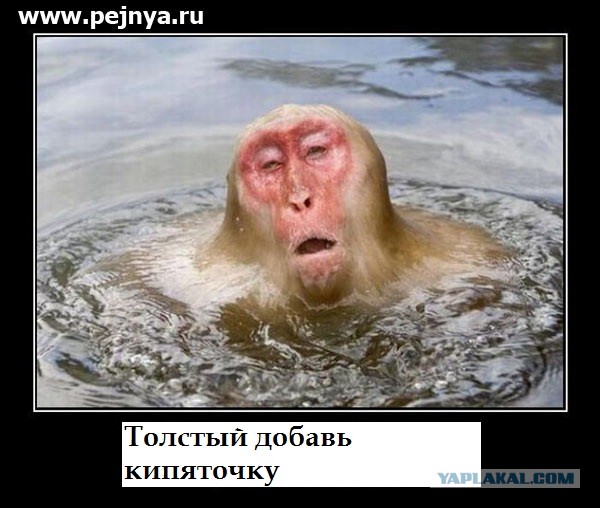 Довели., аж страшно смотреть на таких