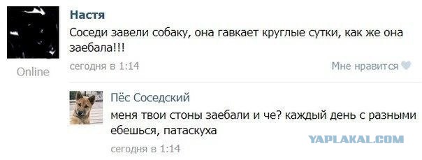 Смешные комментарии из социальных сетей #2