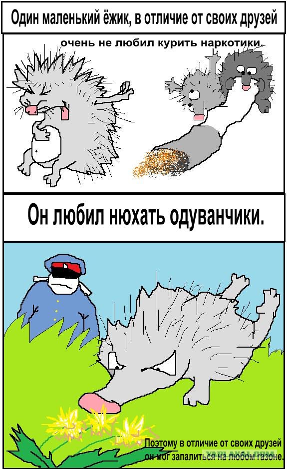 Истории в картинках
