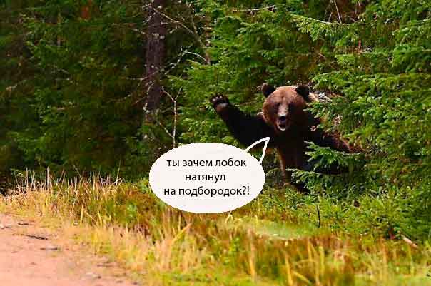 Новый мидвет!