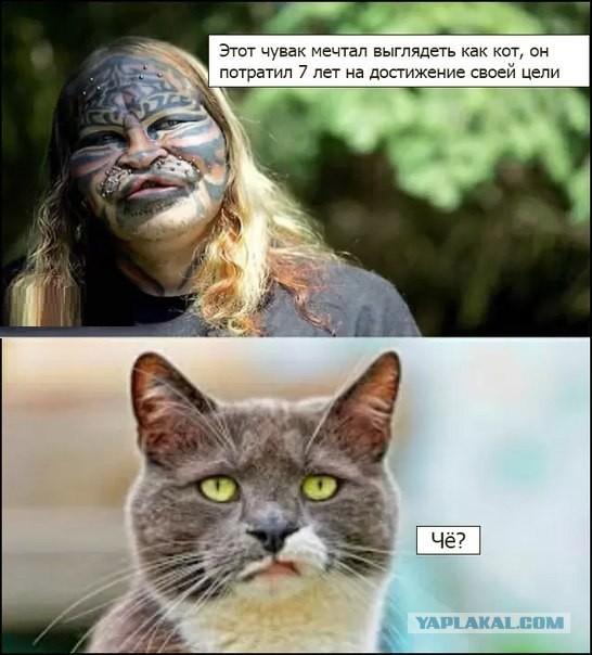 Забавные картинки и комменты из соцсети