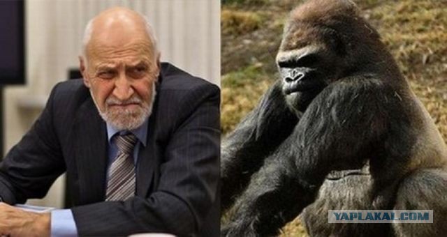 Харьков сегодня: "девочки,не позорьтесь"