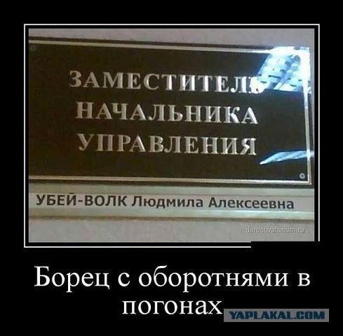 Веселые картинки