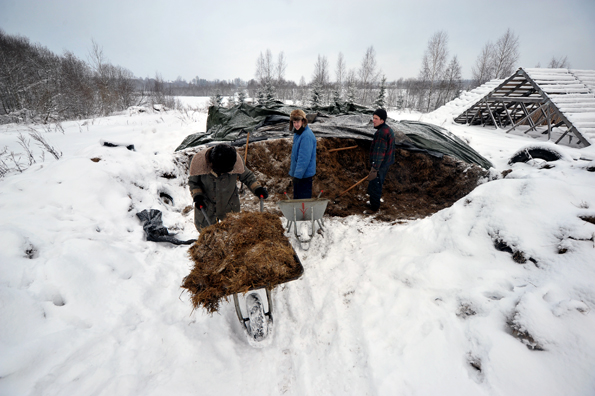 Деревня Светлана.