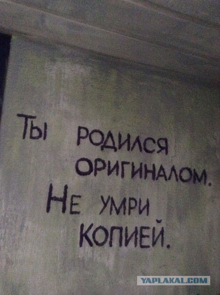 Забавные картинки из Сети