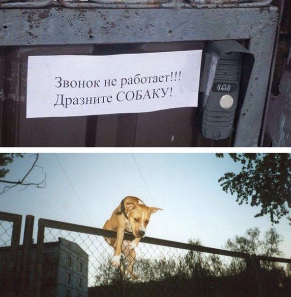 Прикольные картинки на понедельник