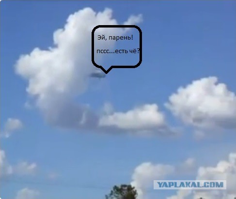 Опять разлетались