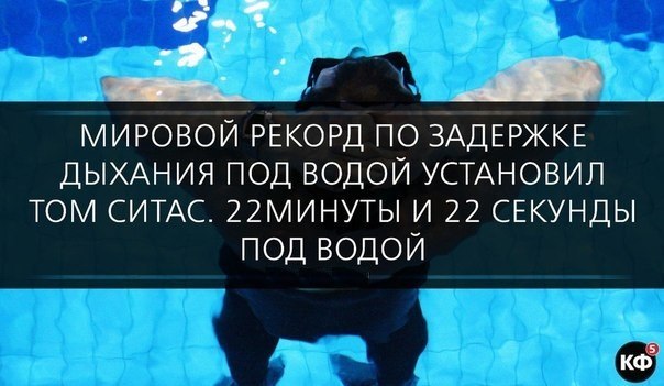 25 интересных фактов.