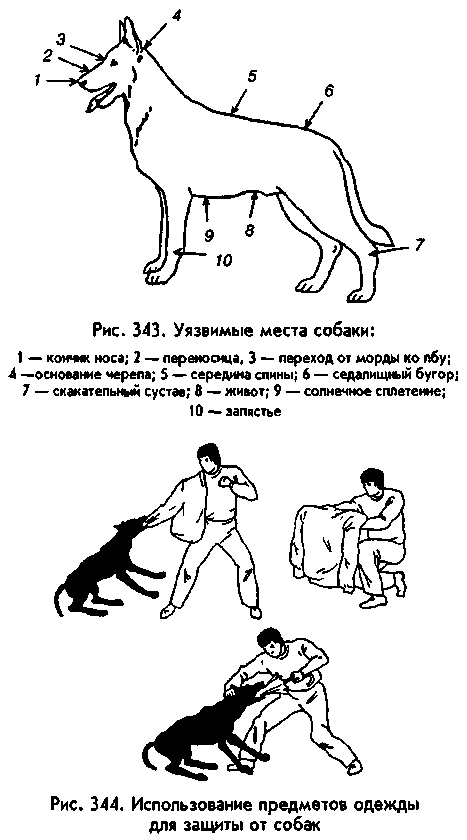 Начали рвать, как игрушку