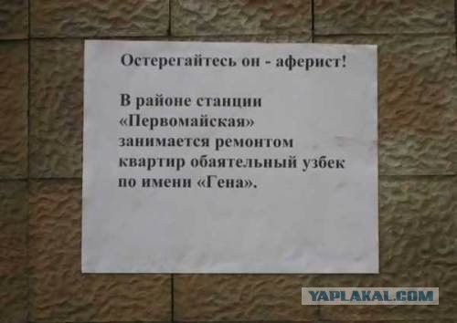 Весёлые картинки