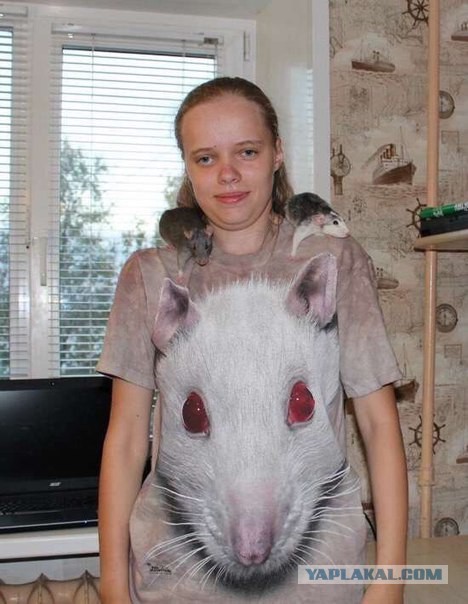 Ужасы и приколы, говорите?