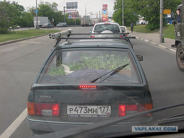 Дачники на дорогах. Началось