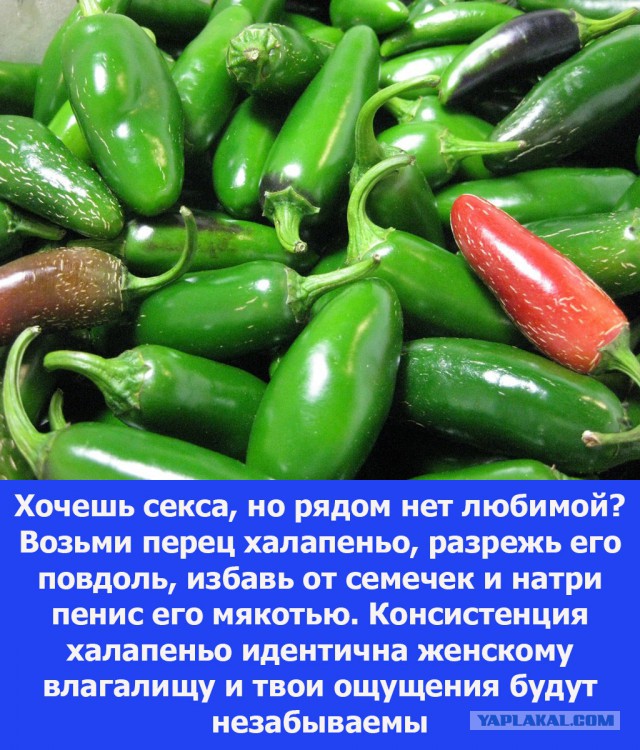 Интересные и веселые картинки