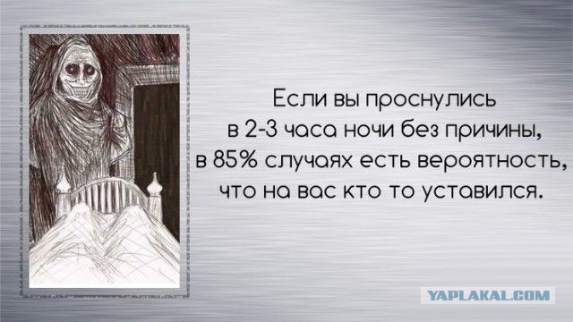 Факты в картинках