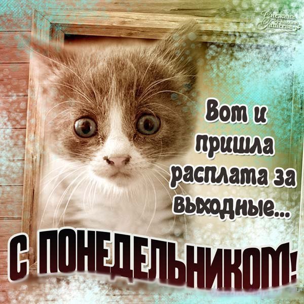 обнимите меня, кому не лень..