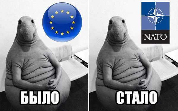 Политические комментарии и картинки из соцсетей