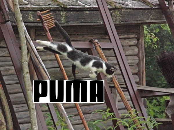Эх, хорошо-то как летом в деревне
