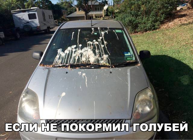 Картинки из сети