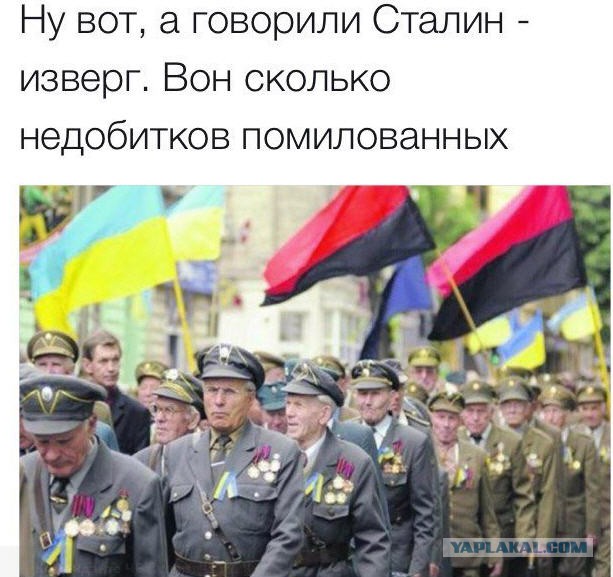 Гибель деревни Борки