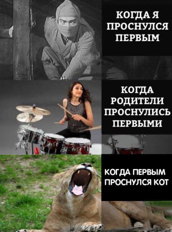 Подборка интересных и веселых картинок