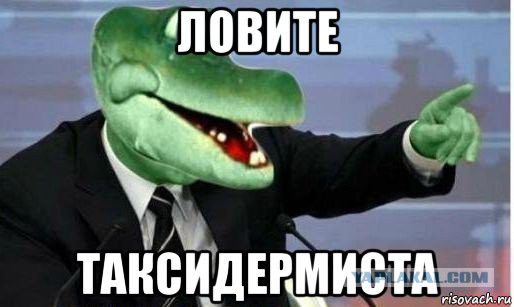 Вся гамма эмоций навсегда остается на лицах зверей, попавших под горячую руку таксидермиста