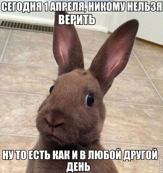 Внимание!