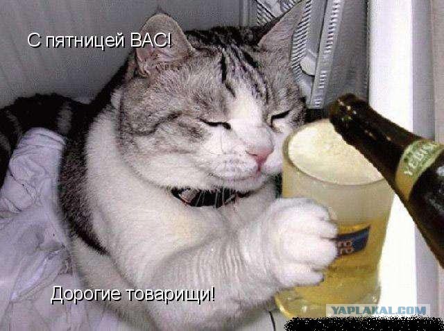 Алкопост на вечер этой пятницы