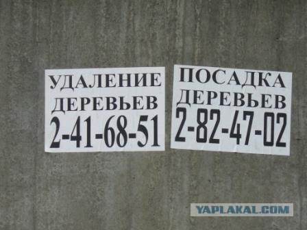 Зоопарк в Ростове-на-Дону
