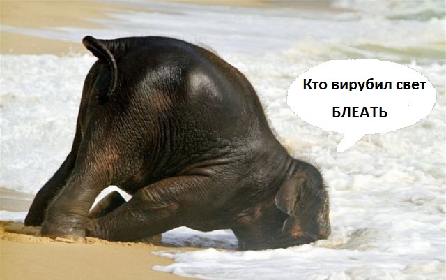 Воспитанный страусами )