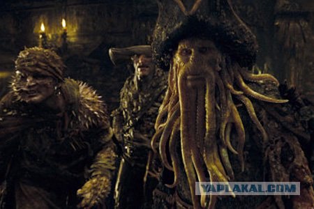 Маленький комок шерсти прямо с улицы