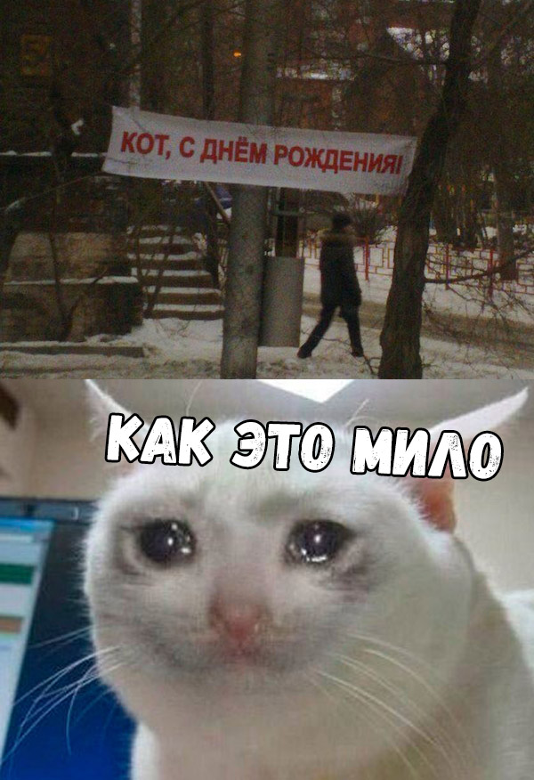 Нестандартный юмор