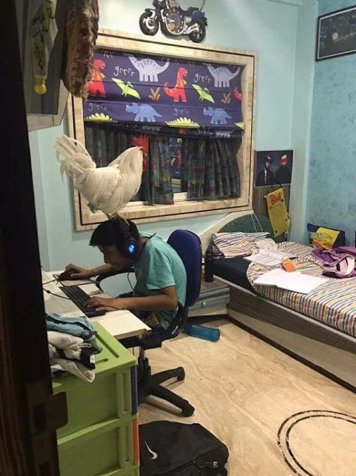 Чудики из социальных сетей