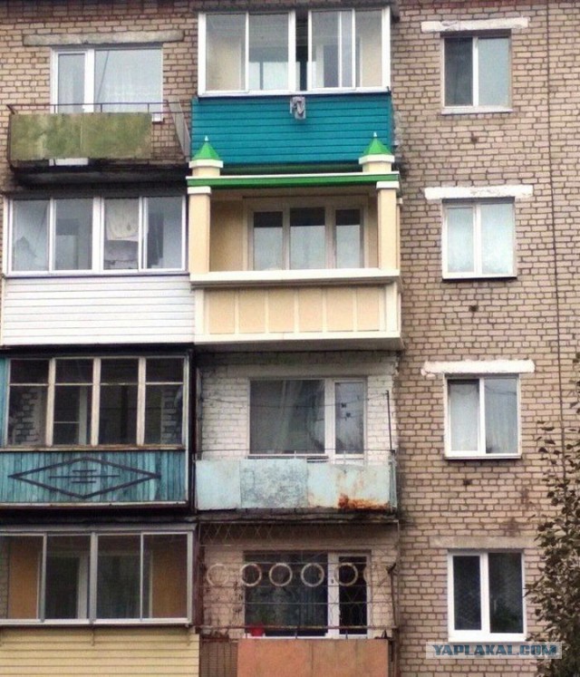 И всё-таки она наша. Лента картинок