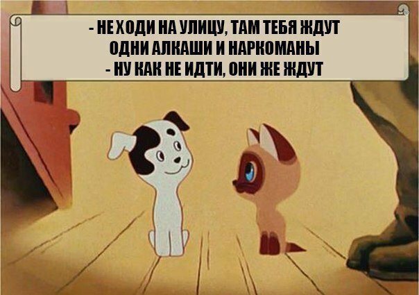 Анекдоты, соц-сети, истории и картинки с надписями