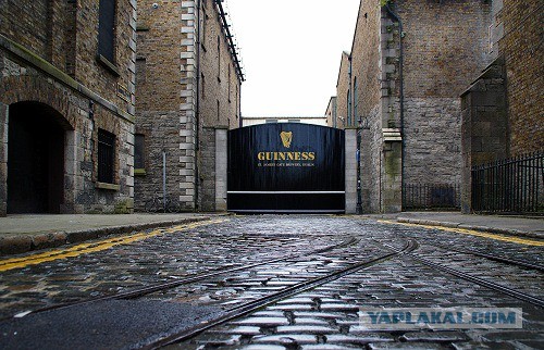 Ирландские кельты. История острова Святого Патрика