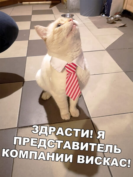 Картинки всякие 17.09.2019