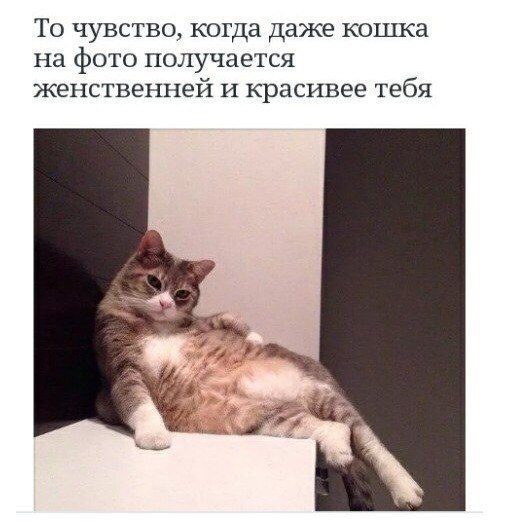 Калейдоскоп Картинок