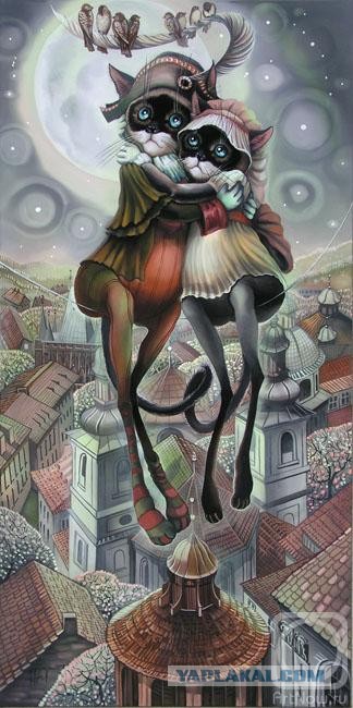 Картинки с котами и про котов