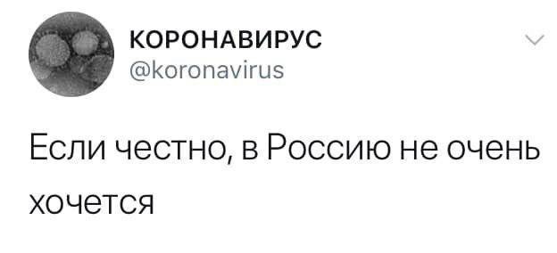 Девушка из Новосибирска, у которой подозревают короновирус, рассказала о своем лечении