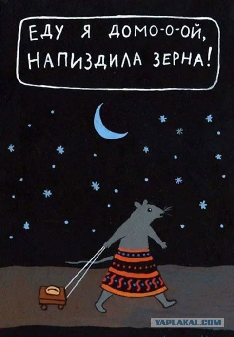 Отнеси его домой