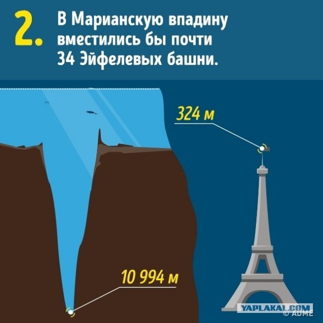 10 вещей, о реальных размерах которых мы и не подозревали