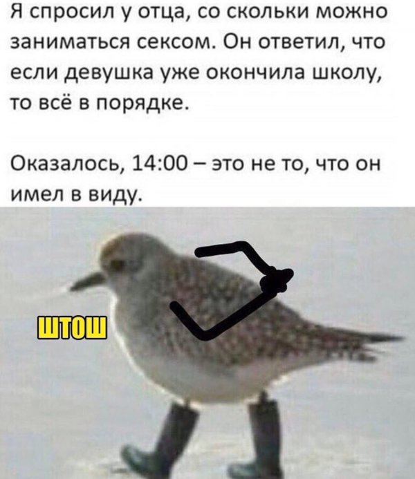 Веселые картинки