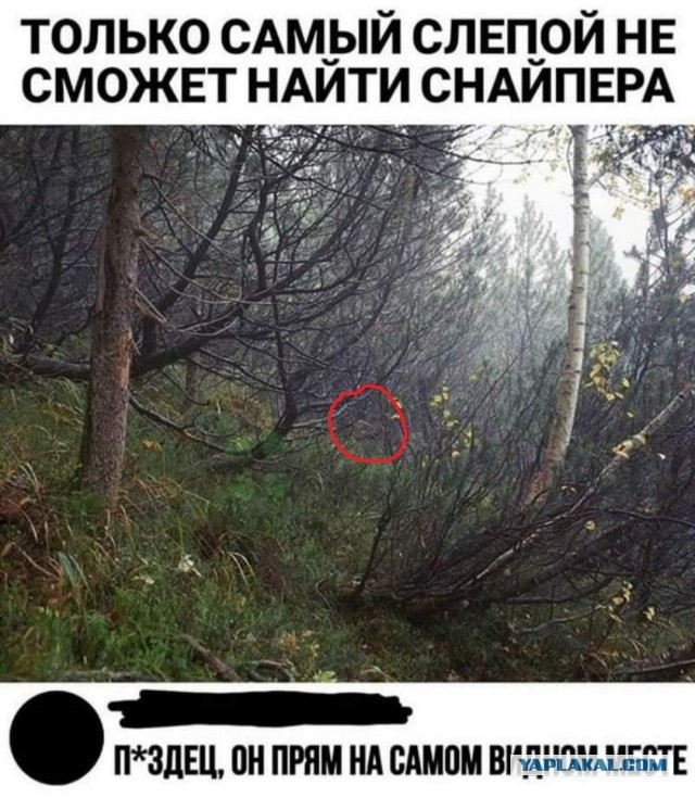 Бредзона 07.05.2020