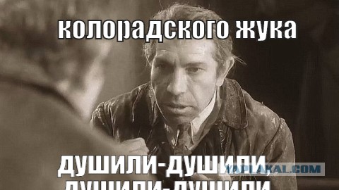 Моя история с РСП (сколько раз я обжёгся прежде чем понял всю суть)