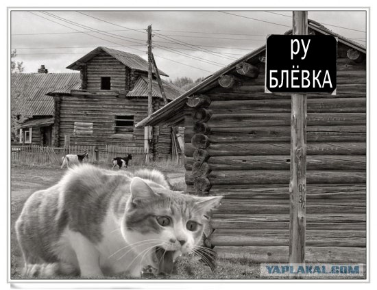 Фотожаба: Элитный район "Рублевка"