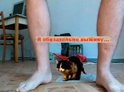Чуток картинок 26.06.20