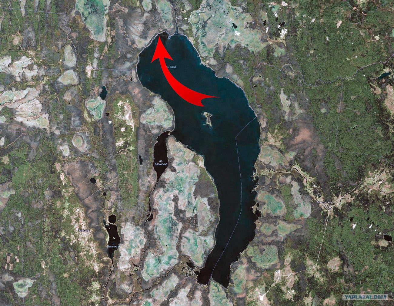 Глубина озер вологодской области. Озеро Воже. Озеро Воже на карте. Озеро Воже Вологодская. Карта глубин озера Воже Вологодская область.