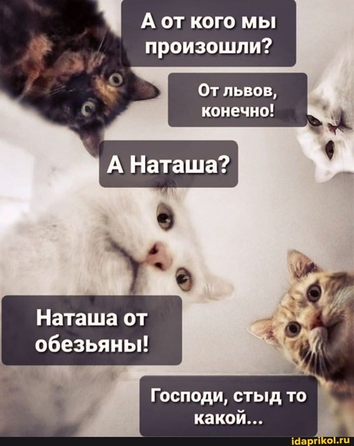 Секс в машине, личный опыт!