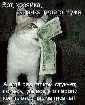 Немного картинок для настроения 117